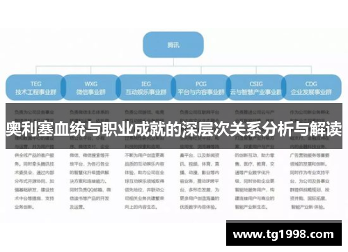 奥利塞血统与职业成就的深层次关系分析与解读