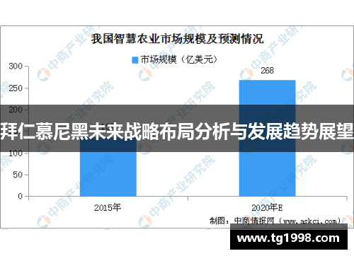 拜仁慕尼黑未来战略布局分析与发展趋势展望