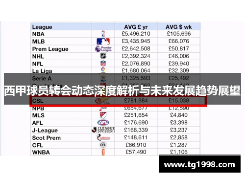 西甲球员转会动态深度解析与未来发展趋势展望 西甲球员转会动态深度解析与未来发展趋势展望